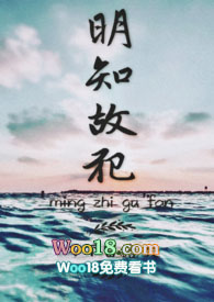 明知故犯文案